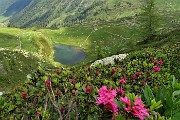 33 Lago piccolo (1986 m) con baita